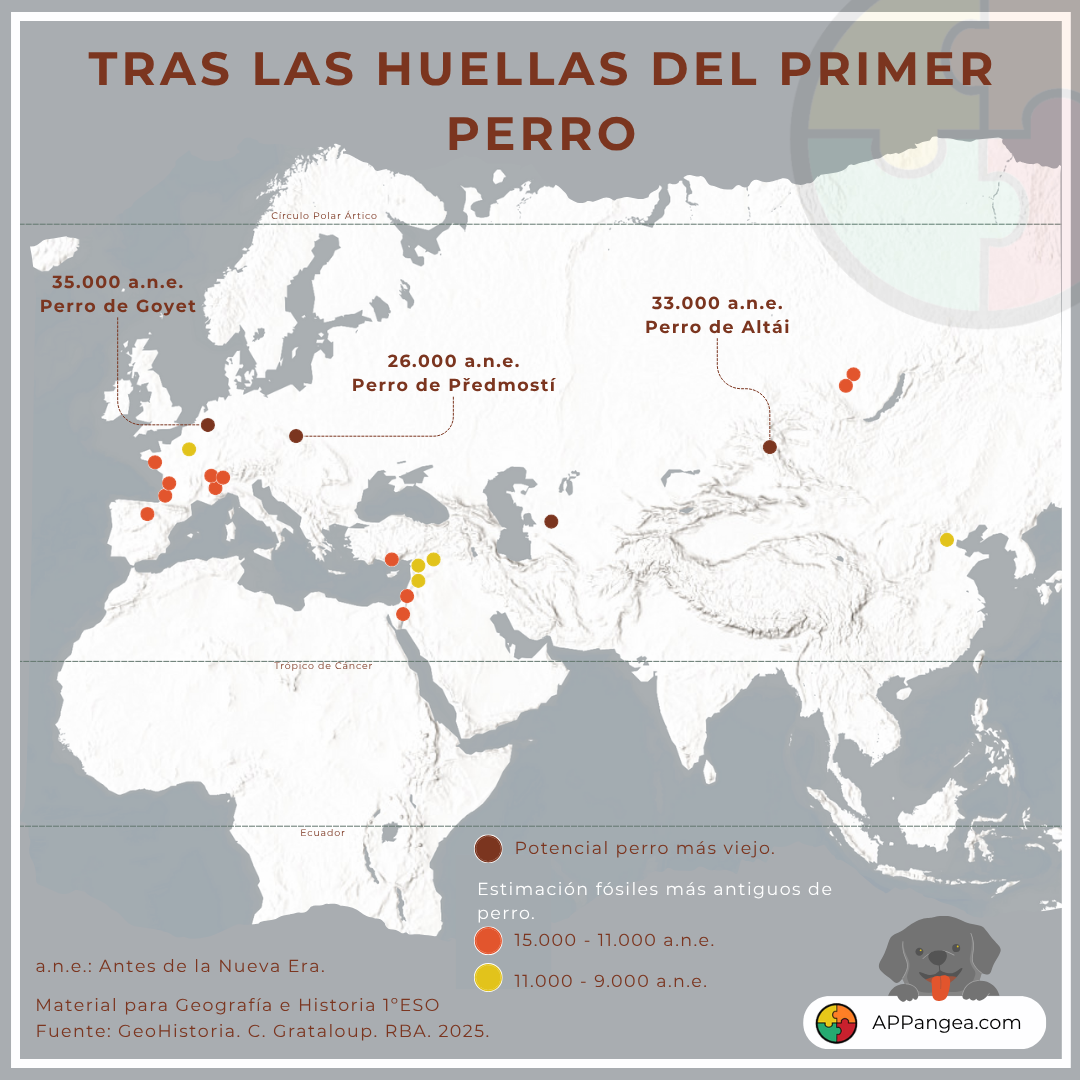 Prehistoria - Periodo de domesticación del perro. Geografía e Historia 1ºESO